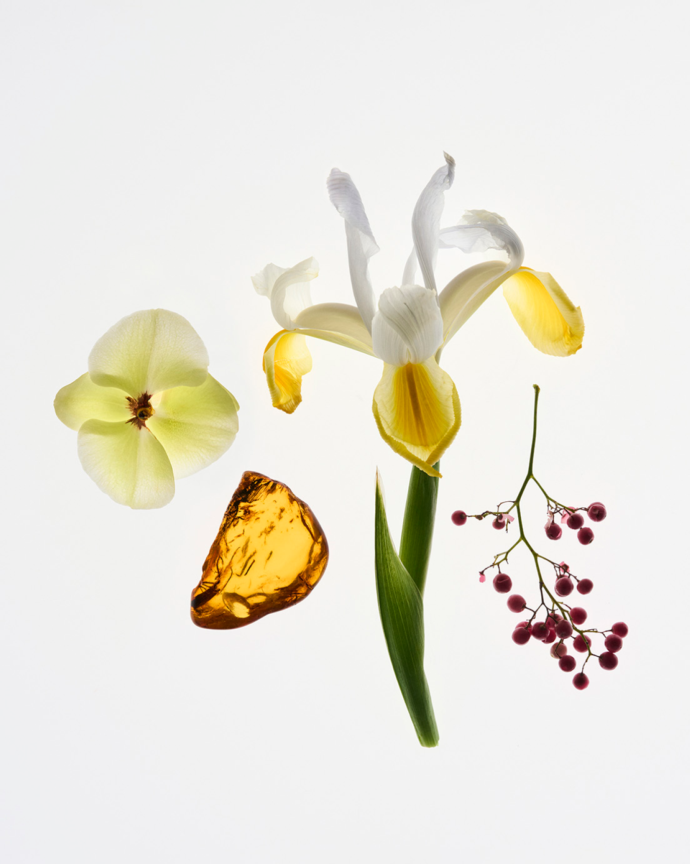 Glossier You - Parfüm