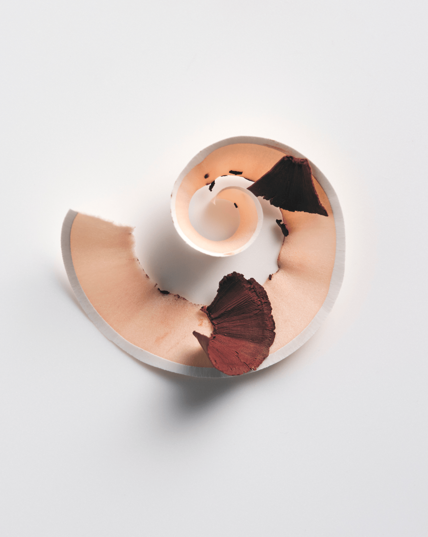 Glossier Lip Line - Dudak Kalemi - stre